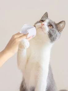 PETSIN 宠物湿巾，80片装，专为猫狗设计，可擦去泪水，无需清洗即可清洁身体部位，除臭，清洁湿巾