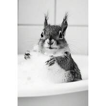 1pc/3pcs Wall Arts Posters Khung tùy chọn/Khung động vật Đen trắng dễ thương Động vật và giấy vệ sinh Poster Mèo Nhím Con lười Tranh vải Nghệ thuật treo tường Phòng tắm Phòng khách Trang trí nhà - Nhiều màu - Xem 23