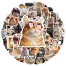 50 张 Kawaii Cat MeMe 贴纸包，适用于水瓶、笔记本电脑、滑板、手机、吉他、保险杠学校用品、返校 - 彩色 - 查看 5