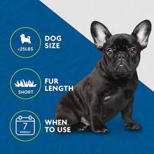 Short Hair deShedding Medium Dogs, Standard - pelo corto - nuevo modelo - Ver 6