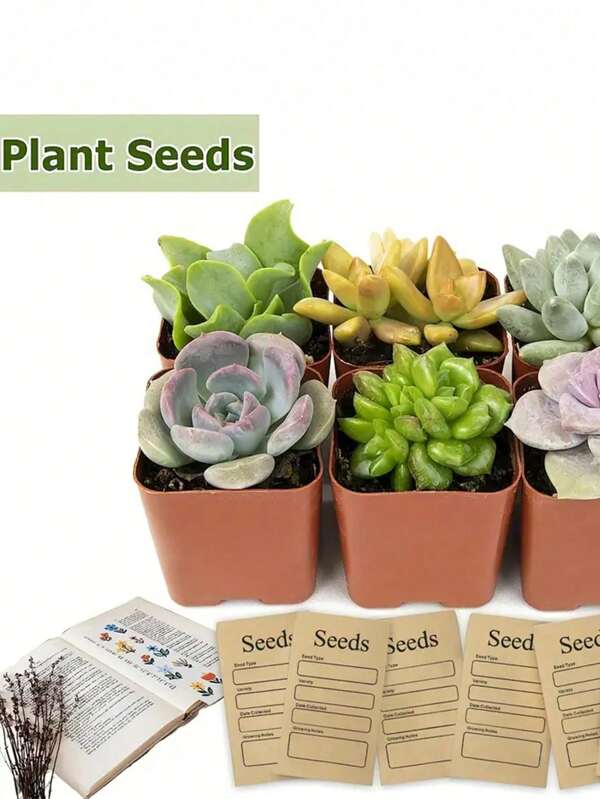 Pacote com 20 envelopes de sementes Kraft premium com lacre autoadesivo – Pacotes de sementes reutilizáveis de 6 x 8 cm para organizar sementes de flores, vegetais e ervas – Preservação de plantas, presentes de jardinagem e suprimentos agrícolas