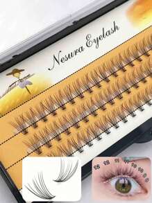 1 BOX (60 Clusters), 10D 8/9/10/11/12/13/14MM, Eyelash Extension Clusters, Single Cluster False Eyelashes Makeup Tool Cluster Lashes DIY Lash Clusters, Eyelash Clusters, Individual Eyelashes, Lashes, Fake Lashes