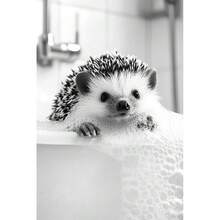 1pc/3pcs Wall Arts Posters Khung tùy chọn/Khung động vật Đen trắng dễ thương Động vật và giấy vệ sinh Poster Mèo Nhím Con lười Tranh vải Nghệ thuật treo tường Phòng tắm Phòng khách Trang trí nhà - Nhiều màu - Xem 15