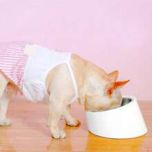 1Pc Pet Stainless Steel Double Bowl, Medium And Small Dog/Cat Melamine And Stainless Steel Food And Water Bowls, Anti-Spill Dual Pet Bowl Set, 2-In-1 Pet Bowl Cat And Dog Pet Feeding Bowl, 15-Degree Tilt, Anti-Choke, Anti-Whisker Fatigue Puppy Keep Dog Things Dog Accessories Dog Stuff