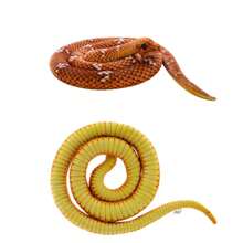 1 pieza de 70 cm, serpiente pitón manchada, juguete de peluche, serpiente de dibujos animados, muñeca, divertida y aterradora para Halloween, muñeca pitón para niños, serpiente falsa, serpiente de bolsillo, decoraciones para fiestas, colores enviados al azar