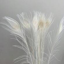 5 件逼真的人造孔雀羽毛，适用于 DIY 工艺品、优雅的家居装饰、派对和婚礼装饰、节日场合，手工细节，塑料材质，非常适合卧室、客厅或浴室装饰，孔雀装饰 - 白色 - 查看 12