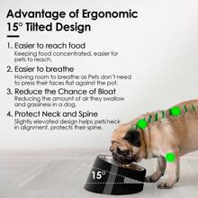 1Pc Pet Stainless Steel Double Bowl, Medium And Small Dog/Cat Melamine And Stainless Steel Food And Water Bowls, Anti-Spill Dual Pet Bowl Set, 2-In-1 Pet Bowl Cat And Dog Pet Feeding Bowl, 15-Degree Tilt, Anti-Choke, Anti-Whisker Fatigue Puppy Keep Dog Things Dog Accessories Dog Stuff