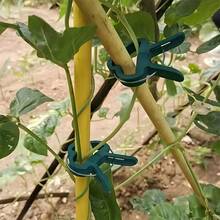 20 piezas Clips ajustables para plantas - Reutilizables para flores, enredaderas, vegetales y soporte para tomates - Plástico duradero, herramienta de jardinería esencial