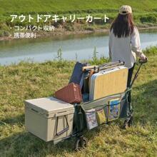 Portable Shopping Carts