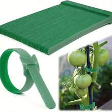 100 pièces d'attaches auto-adhésives pour plantes - Ruban vert flexible de support pour plantes de jardin pour vignes, tiges et câbles. Ruban artisanal réutilisable multifonctionnel dos à dos assurant des tâches de jardinage sécurisées