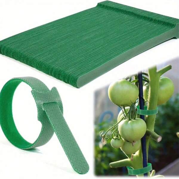 100 pièces d'attaches auto-adhésives pour plantes - Ruban vert flexible de support pour plantes de jardin pour vignes, tiges et câbles. Ruban artisanal réutilisable multifonctionnel dos à dos assurant des tâches de jardinage sécurisées