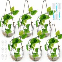 6 Pcs Wall Hanging Planter Glass Plant Pot Water Terrarium Containers Wall Vases For Flowers Air Hydroponic Propagation Glass Plant Holder Home Room Window Office(Oblate) - Oblate - View 1