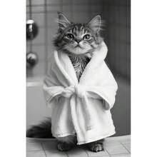 1pc/3pcs Wall Arts Posters Khung tùy chọn/Khung động vật Đen trắng dễ thương Động vật và giấy vệ sinh Poster Mèo Nhím Con lười Tranh vải Nghệ thuật treo tường Phòng tắm Phòng khách Trang trí nhà - Nhiều màu - Xem 14