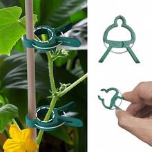 20 piezas Clips ajustables para plantas - Reutilizables para flores, enredaderas, vegetales y soporte para tomates - Plástico duradero, herramienta de jardinería esencial
