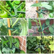 20 piezas Clips ajustables para plantas - Reutilizables para flores, enredaderas, vegetales y soporte para tomates - Plástico duradero, herramienta de jardinería esencial