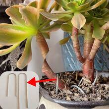 U-Type Garden Staples Heavy-Duty Fence Tubing Stakes Sod Pins Galvanized Landscape Spike For Holding Lawns Barrier Ground Nail