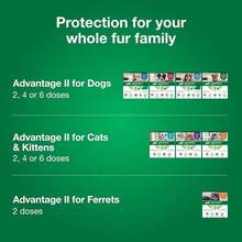 Large Vet-Recommended Flea Treatment & Prevention |   Cats Over 9 Lbs. |   6-Month Supply - Large Cat only - 查看 6