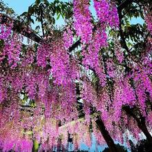 6/12/24 Pcs Wisteria Flower Vines Garland, 3.75 Feet Artificial Flower Strings, Fake Hanging Flowers, Silk Wisteria Garland Flowers, Wisteria Vine For Wedding, Garden, Wall Decoration - Hot Pink - View 5