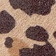 Leopardo