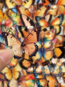 SCXXBSW 50pcs Orange Butterfly Cartoon Graffiti Double Transparent Stickers Decorative Handbooks Water Cups Notebook Luggage Waterproof Stickers - Multicolor - View 7