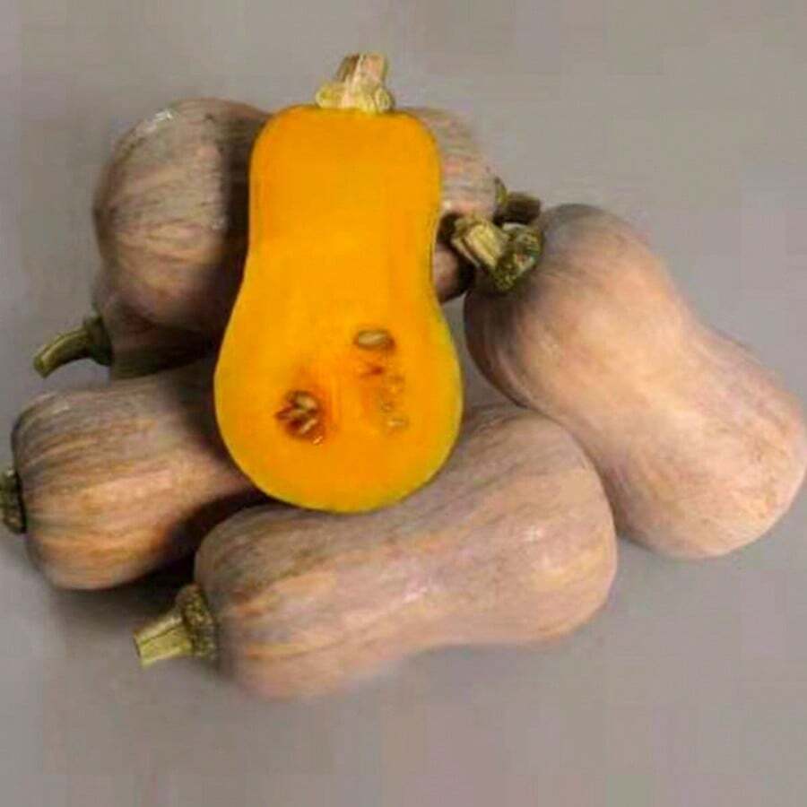 255 Pieces Vegetable Seeds Jinsha Pumpkin Seeds Fruit Flesh Orange Fruit Flesh Thick Over Pink Sticky Ice Thin Skin No Residue
