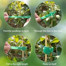 100 pièces d'attaches auto-adhésives pour plantes - Ruban vert flexible de support pour plantes de jardin pour vignes, tiges et câbles. Ruban artisanal réutilisable multifonctionnel dos à dos assurant des tâches de jardinage sécurisées