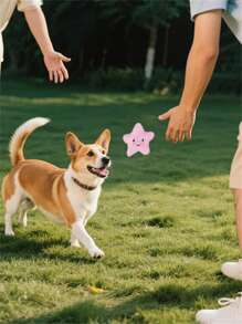 Mini New Series Cat Toys Cat Treat Toy Bread Toast Series With Catmint Fillings Cute Japanese Style Rice Balls Cat Snack Toy Toast Shape Cat Snack Toy Cat Accessories Pet Supplies: Size Tip - Slightly Smaller Than Average