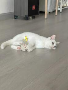 1 件剑麻猫追逐玩具 - 带星星、雪花和圣诞树设计的互动玩具球 - 彩色 - 查看 6