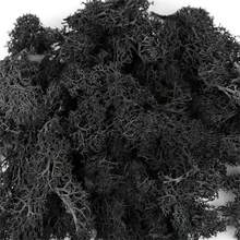 20g Musgo verde artificial preservado, manualidades de jardín DIY, decoración del hogar, paisaje en miniatura de césped artificial - Multicolor - Ver 24