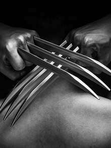 1个塑料狼爪，角色扮演道具，银色塑料材质，适用于角色扮演和主题派对。这款狼爪为任何服装增添经典气息，让您的角色在万圣节更加栩栩如生。 - 彩色 - 查看 7