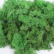20g Musgo verde artificial preservado, manualidades de jardín DIY, decoración del hogar, paisaje en miniatura de césped artificial - Multicolor - Ver 14