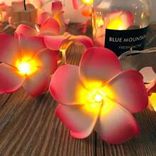 LED Egg Flower Light String Combines Tropical Egg Flower Shape With LED Light String To Form A Decoration That Combines Natural Beauty And Light And Shadow Effects