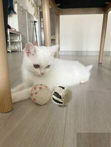 1 件剑麻猫追逐玩具 - 带星星、雪花和圣诞树设计的互动玩具球 - 彩色 - 查看 5