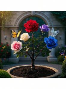 100 Rose Seeds, Colorful Rose Tree Seeds, Natural Color Palette With Vibrant Branches, Used For Planting Rare Perennial Flower Seeds, Indoor/Outdoor Garden Seeds - Multicolor - View 3