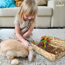 Rabbit Grass Bedding, Bunny Supplies For Cage Accessories And Huts - Brown - View 5