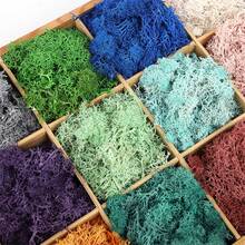 20g Musgo verde artificial preservado, manualidades de jardín DIY, decoración del hogar, paisaje en miniatura de césped artificial - Multicolor - Ver 3
