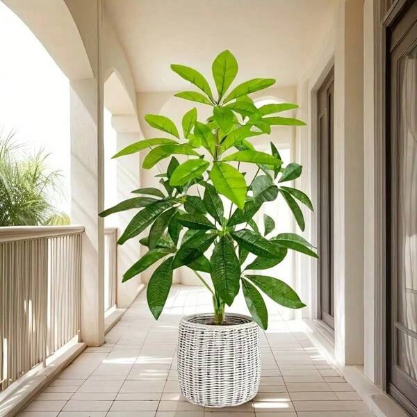 1pc Outdoor Artificial Green Plant, Money Tree Potted Plant, Fake Plant Ornament For Wedding, Home Decor, Good Luck Figurine