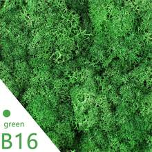 20g Musgo verde artificial preservado, manualidades de jardín DIY, decoración del hogar, paisaje en miniatura de césped artificial - Multicolor - Ver 27