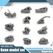 八套史前化石模型套装！包含哺乳动物和恐龙头骨，细节逼真，提升认知。它将科普与装饰融为一体，是开启古生物探索之旅的精美静态展品。 - 彩色 - 查看 18