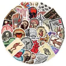 Adesivos de anatomia com 50 peças, adesivos científicos, adesivos estéticos, adesivos para diário, suprimentos para scrapbook, adesivos de vinil à prova d'água, pacote de adesivos estéticos para laptop, adesivos de skate, adesivos para garrafas d'água, adesivos para caderno