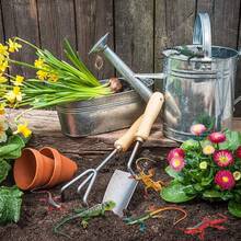 1/2/5/8/24 件彩色塑料蜥蜴玩具可动人偶爬行动物玩具蜥蜴逼真礼品、不给糖就捣蛋玩具、生日礼物，款式和颜色随机 - 彩色 - 查看 6