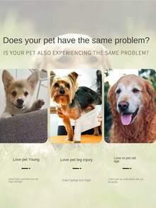 1 件米色宠物楼梯，底部防滑，柔软，可拆卸和清洗，适合受伤或年老的狗，以及患有关节痛的宠物