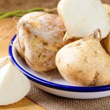 176 Stück Non-GMO Jicama Samen Erbstück Mexikanische Yambohnen Mexikanische Radieschen Samen zum Pflanzen in einem Garten oder Hausgemüsegarten