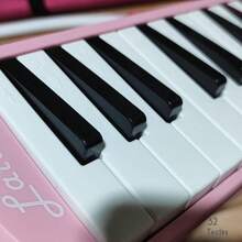 Melodica Escolar 32 Teclas Escolares Melodicas Instrumento. Portátil Melodica Escolar De 32 Teclas With Estuche Y Boquilla,Apto Para Niños y Adultos,Armónica. Melódica 32 Teclas Latino Escolar Con Boquilla Estuche Y Tela - Rosa - Ver 2