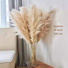 Set da 10/20 pezzi, fiori secchi soffici per decorazione, erba pampas alta, ideale per decorare tavoli da matrimonio bohémien (smontaggio all'aperto), decorazioni autunnali
