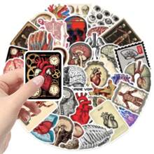 Adesivos de anatomia com 50 peças, adesivos científicos, adesivos estéticos, adesivos para diário, suprimentos para scrapbook, adesivos de vinil à prova d'água, pacote de adesivos estéticos para laptop, adesivos de skate, adesivos para garrafas d'água, adesivos para caderno