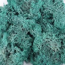 20g Musgo verde artificial preservado, manualidades de jardín DIY, decoración del hogar, paisaje en miniatura de césped artificial - Multicolor - Ver 17