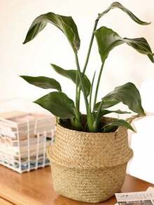 1pc Large Handmade Woven Rattan Plant Basket, Vintage Seagrass Woven Flower Pot Planter, Foldable Storage Basket For Home And Garden Decor, Indoor And Outdoor Use - Multicolor - View 8