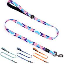 Furmylove Dog Leash, Pet Training Lead, Lightweight Soft Grip Handle, Metal Clasp, Non-Pulling Anti-Shock Nylon Dog Leash For Medium & Large Dogs, Outdoor Activities, Fashionable Abstract Printed Pattern, 60in/150cm