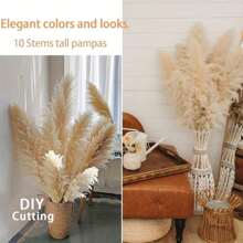 Set da 10/20 pezzi, fiori secchi soffici per decorazione, erba pampas alta, ideale per decorare tavoli da matrimonio bohémien (smontaggio all'aperto), decorazioni autunnali